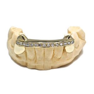 Diamond Bar Solid Canine Grillz - Water ATL